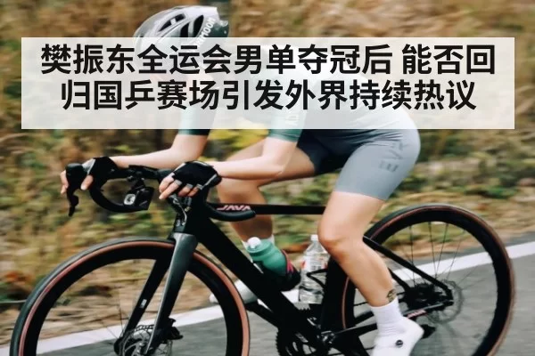 樊振东全运会男单夺冠后 能否回归国乒赛场引发外界持续热议